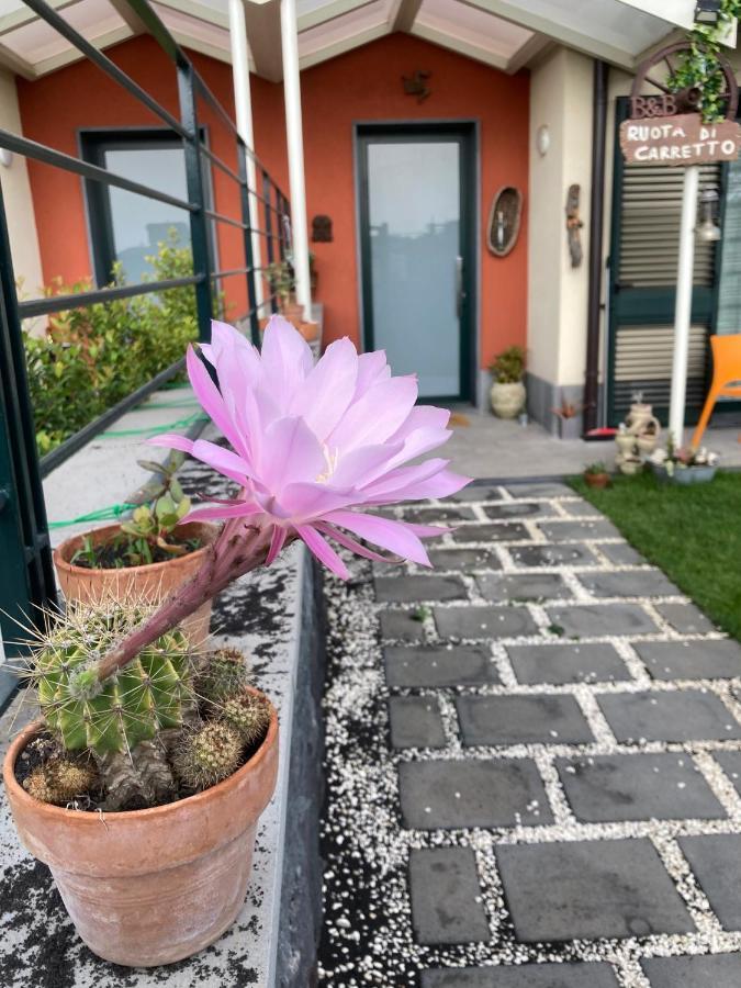 B&B Ruota Di Carretto Nicolosi Eksteriør billede